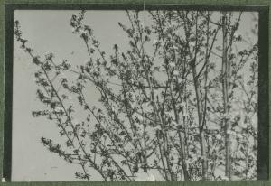 SC_F_SUP-3a340-0001243_IMG-0000047184