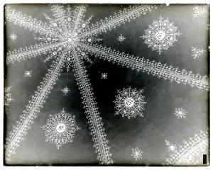 SC_F_SUP-3a440-0000076_IMG-0000043244