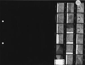 SC_F_SUP-LMD90-0003785_IMG-0000039827