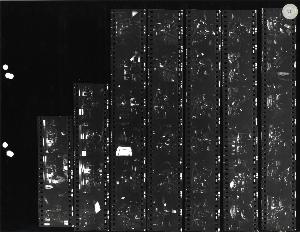 SC_F_SUP-LOM60-0042958_IMG-0000039071