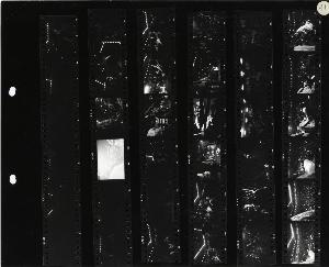 SC_F_SUP-LOM60-0042988_IMG-0000039086