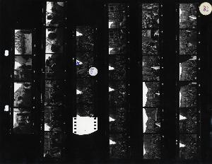SC_F_SUP-LOM60-0043238_IMG-0000039249