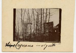 SW_F_SUP-3a130-0019650_IMG-0000000001