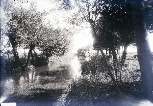 SW_F_SUP-3a130-0023350_IMG-0000000001