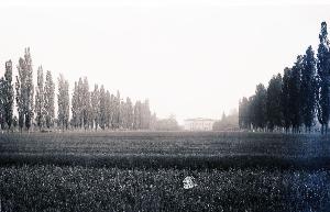 SW_F_SUP-3a130-0023566_IMG-0000000001