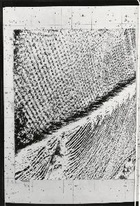 SW_F_SUP-3a130-0095499_IMG-0000000001
