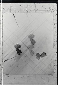 SW_F_SUP-3a130-0095506_IMG-0000000001