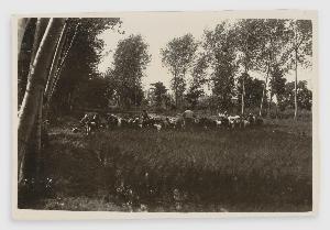SW_F_SUP-3a530-0000261_IMG-0000000001