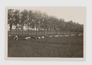 SW_F_SUP-3a530-0000269_IMG-0000000001
