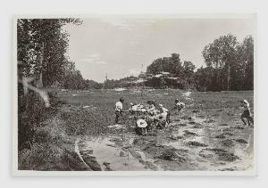 SW_F_SUP-3a530-0000293_IMG-0000000001