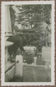 SW_F_SUP-SWCX1-0000178_IMG-0000000001
