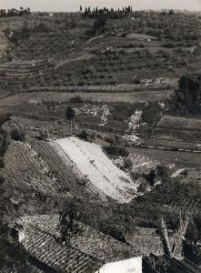 SW_F_SUP-SWCX1-0000401_IMG-0000000001