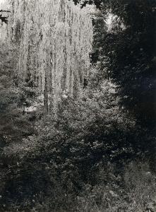 SW_F_SUP-SWCX1-0000411_IMG-0000000001