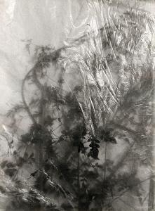 SW_F_SUP-SWCX1-0000453_IMG-0000000001