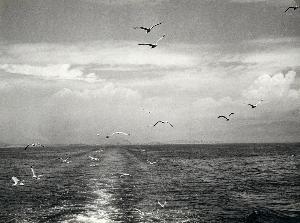 SW_F_SUP-SWCX1-0000853_IMG-0000000001