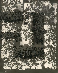 SW_F_SUP-SWCX1-0000913_IMG-0000000001