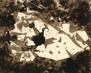 SW_F_SUP-SWCX1-0000914_IMG-0000000001