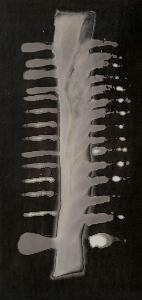 SW_F_SUP-SWCX1-0000924_IMG-0000000001