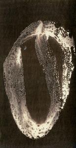 SW_F_SUP-SWCX1-0000926_IMG-0000000001