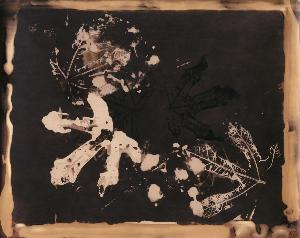 SW_F_SUP-SWCX1-0000956_IMG-0000000001