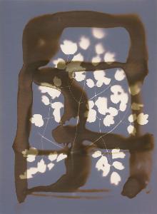 SW_F_SUP-SWCX1-0001235_IMG-0000000001