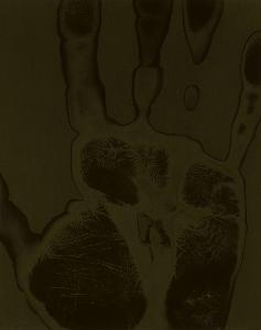 SW_F_SUP-SWCX1-0001273_IMG-0000000001