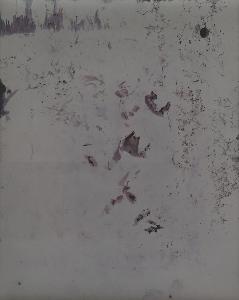 SW_F_SUP-SWCX1-0001294_IMG-0000000001