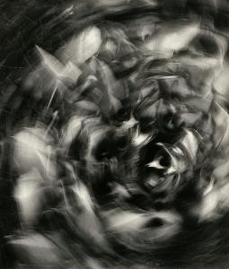 SW_F_SUP-SWCX1-0001316_IMG-0000000001