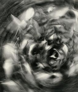 SW_F_SUP-SWCX1-0001318_IMG-0000000001
