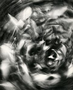 SW_F_SUP-SWCX1-0001319_IMG-0000000001