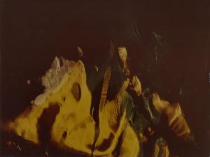 SW_F_SUP-SWCX1-0001339_IMG-0000000001