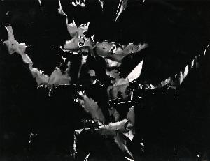 SW_F_SUP-SWCX1-0001346_IMG-0000000001