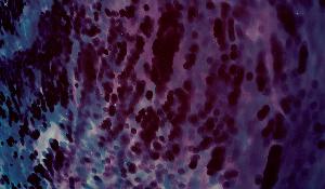 SW_F_SUP-SWCX1-0001372_IMG-0000000001