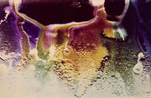 SW_F_SUP-SWCX1-0001379_IMG-0000000001