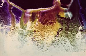 SW_F_SUP-SWCX1-0001380_IMG-0000000001