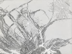SW_F_SUP-SWCX1-0001394_IMG-0000000001