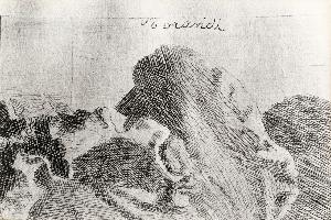 SW_F_SUP-SWCX1-0001461_IMG-0000000001