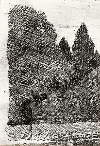 SW_F_SUP-SWCX1-0001464_IMG-0000000001