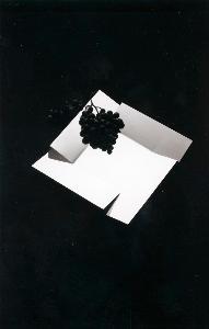 SW_F_SUP-SWCX1-0002372_IMG-0000000001
