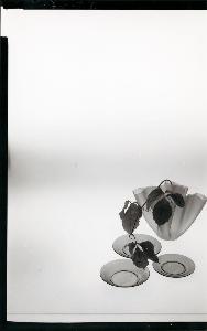 SW_F_SUP-SWCX1-0002528_IMG-0000000001