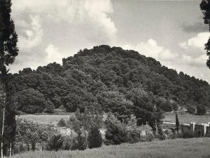 SW_F_SUP-SWCX1-0003436_IMG-0000000001