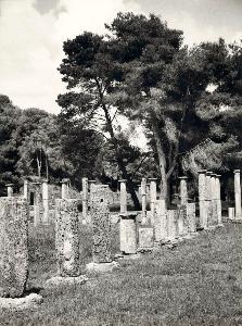 SW_F_SUP-SWCX1-0003481_IMG-0000000001