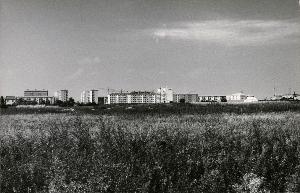 SW_F_SUP-SWCX1-0003547_IMG-0000000001