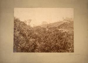 SW_F_SUP-SWCX1-0003561_IMG-0000000001