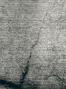 SW_F_SUP-SWCX1-0003898_IMG-0000000001