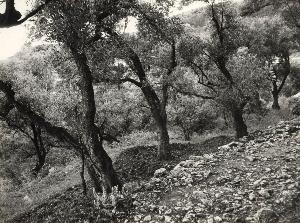 SW_F_SUP-SWCX1-0003907_IMG-0000000001