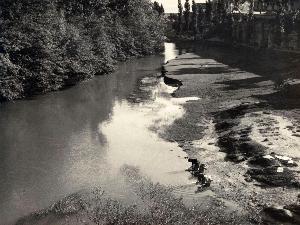 SW_F_SUP-SWCX1-0004237_IMG-0000000001