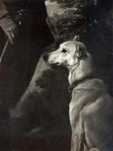 SW_F_SUP-SWCX1-0004328_IMG-0000000001