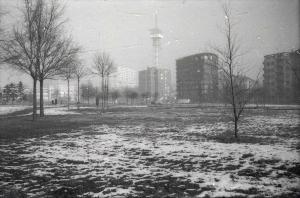 SW_F_SUP-SWCX1-0004850_IMG-0000000001