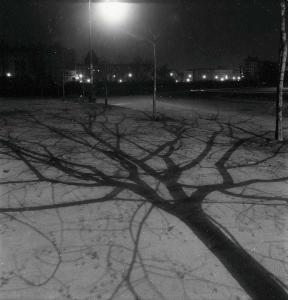 SW_F_SUP-SWCX1-0005011_IMG-0000000001